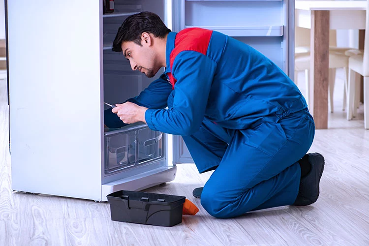 Refrigerator Repair Services in Anna Nagar