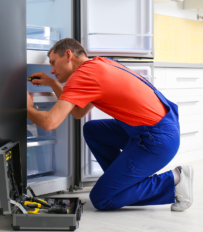 Refrigerator Repair Services in Anna Nagar