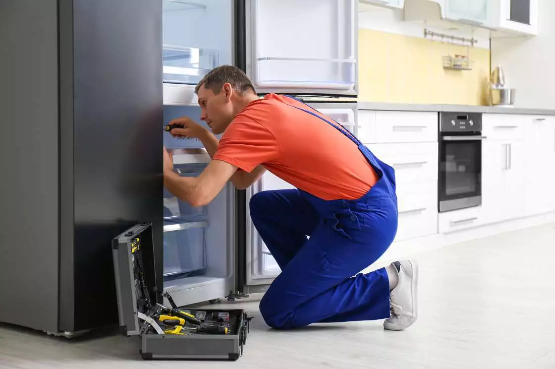 Refrigerator Repair Services in Chrompet